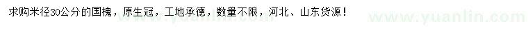 求購(gòu)米徑30公分國(guó)槐