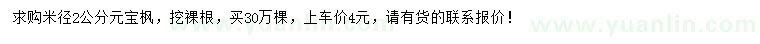 求購米徑2公分元寶楓