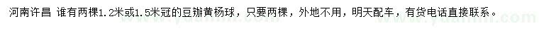 求購(gòu)冠幅1.2米或1.5米豆辦黃楊