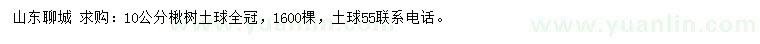 求購10公分楸樹