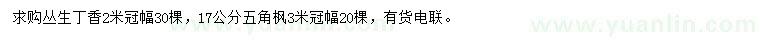 求購(gòu)冠幅2米叢生丁香、3米五角楓