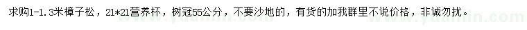 求購1-1.3米樟子松