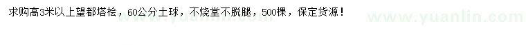 求購(gòu)高3米以上望都塔檜