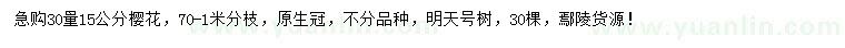 求購30量15公分櫻花