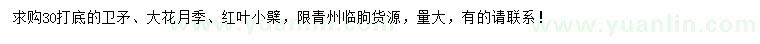 求購(gòu)衛(wèi)矛、大花月季、紅葉小檗
