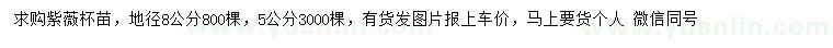 求購(gòu)地徑5、8公分紫薇