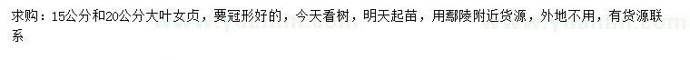 求購15、20公分大葉女貞