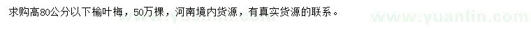 求購高80公分以下榆葉梅
