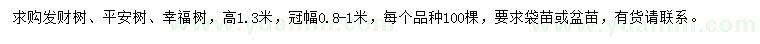 求購發(fā)財樹、平安樹、幸福樹