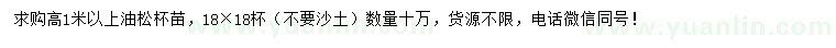求購高1米以上油松