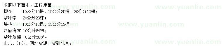 求購櫻花、紫葉李 、碧桃等