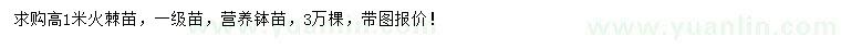 求購(gòu)高1米火棘苗