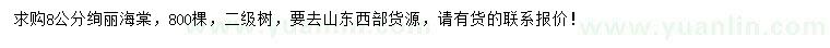 求購8公分絢麗海棠