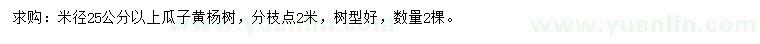 求購(gòu)米徑25公分以上瓜子黃楊樹(shù)