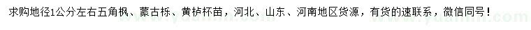求購五角楓、蒙古櫟、黃櫨