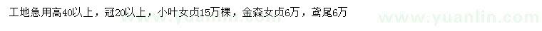 求購小葉女貞、金森女貞、鳶尾