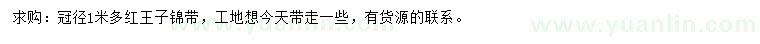 求購冠徑1米多紅王子錦帶
