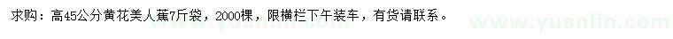 求購高45公分黃花美人蕉