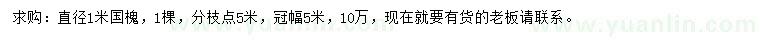 求購直徑1米國槐