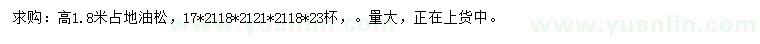 求購(gòu)高1.8米油松