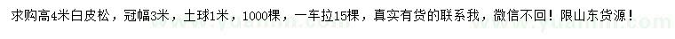 求購(gòu)高4米白皮松