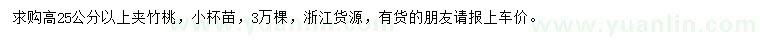 求購高25公分以上夾竹桃