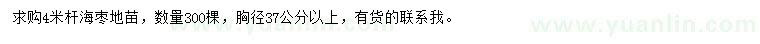 求購4米海棗