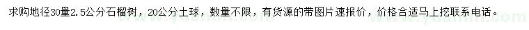 求購地徑30量2.5公分石榴樹