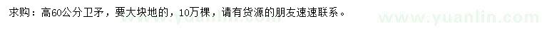 求購高60公分衛(wèi)矛