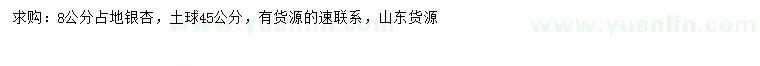 求購8公分銀杏
