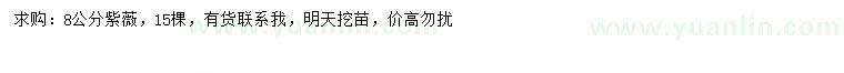 求購8公分紫薇