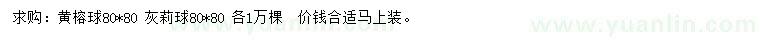 求購黃榕球、灰莉球
