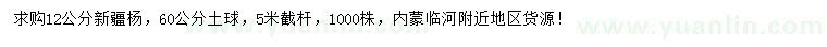 求購12公分新疆楊