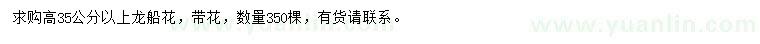 求購高35公分以上龍船花