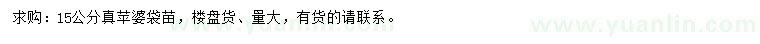 求購15公分真蘋婆