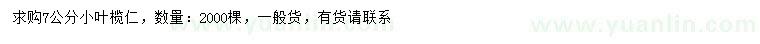 求購7公分小葉欖仁