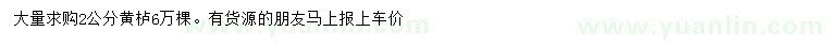 求購2公分黃櫨