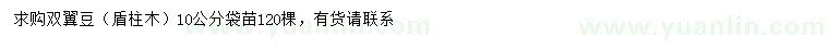求購10公分雙翼豆