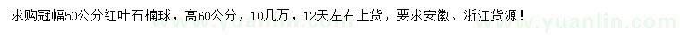 求購冠幅50公分紅葉石楠球