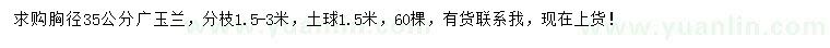 求購胸徑35公分廣玉蘭
