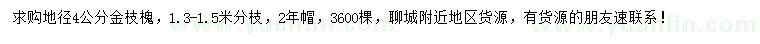 求購地徑4公分金枝槐