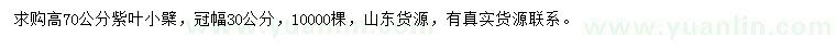 求購高70公分紫葉小檗