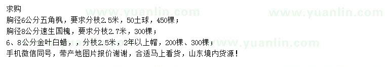 求購五角楓、速生國槐、金葉白蠟