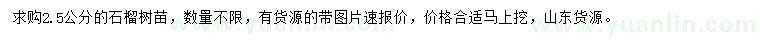 求購2.5公分石榴