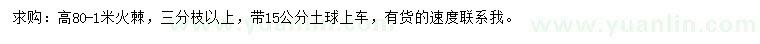 求購高80-1米火棘