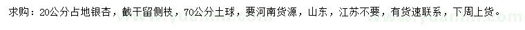 求購20公分銀杏