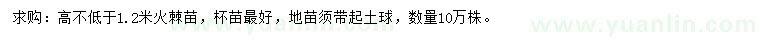 求購(gòu)高不低于1.2米火棘