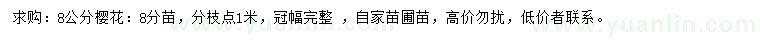 求購8公分櫻花