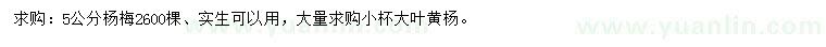 求購5公分楊梅、大葉黃楊