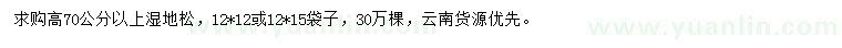 求購高70公分濕地松